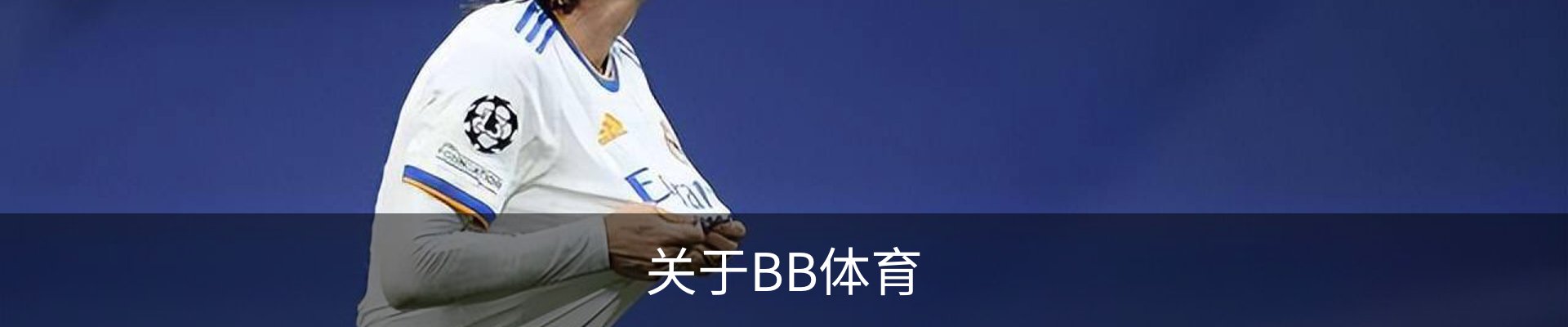关于BB体育